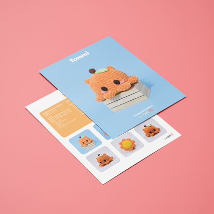 Tommi the Mango Dumbo Octopus | PDF Amigurumi Pattern | English and Spanish