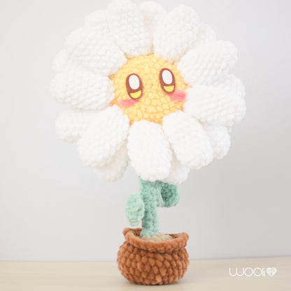 Danny the Daisy PDF Amigurumi Pattern | English and Spanish