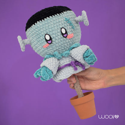 Fran Monster Scarecrow PDF Amigurumi Pattern | English and Spanish